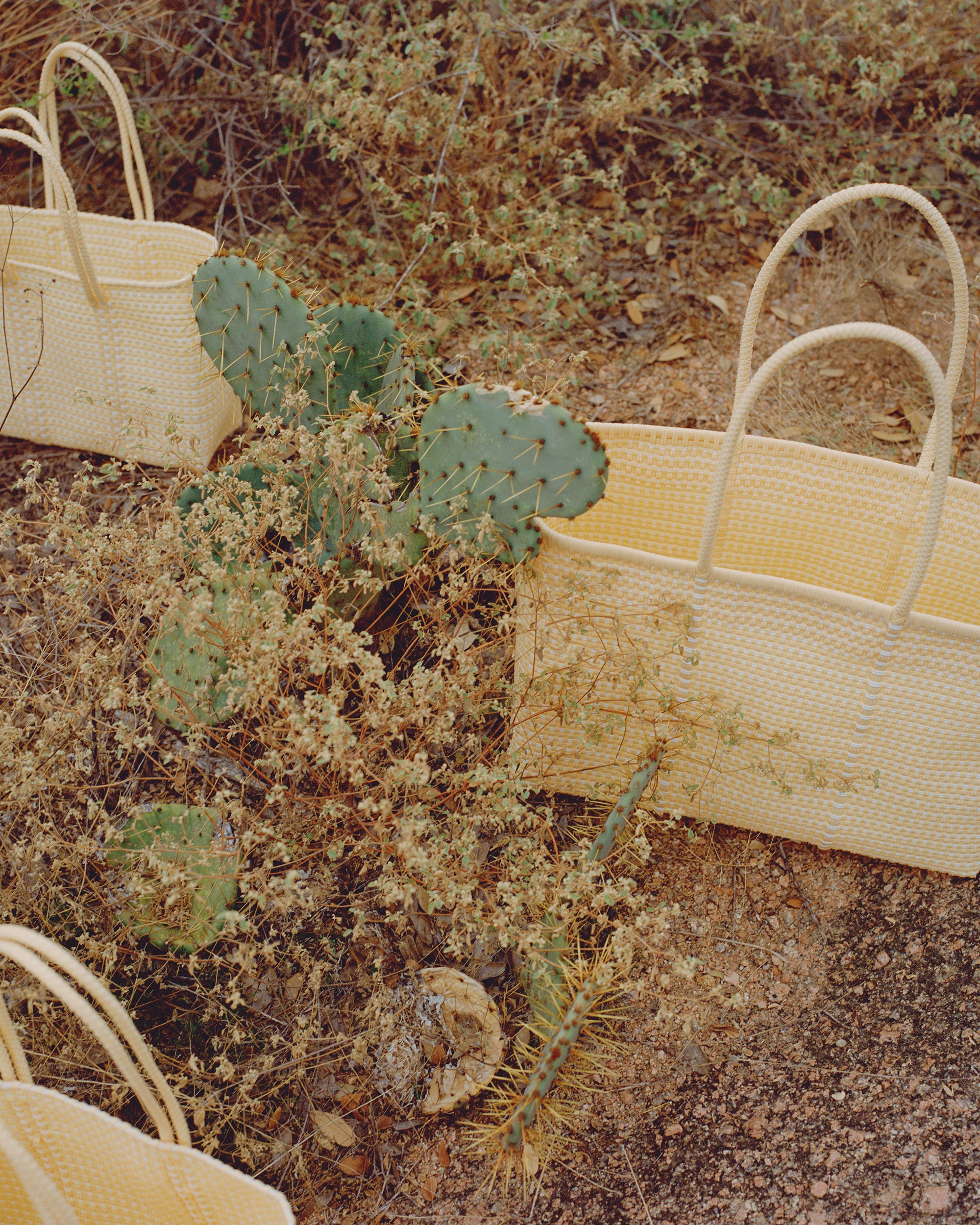 The Limoncello Tote