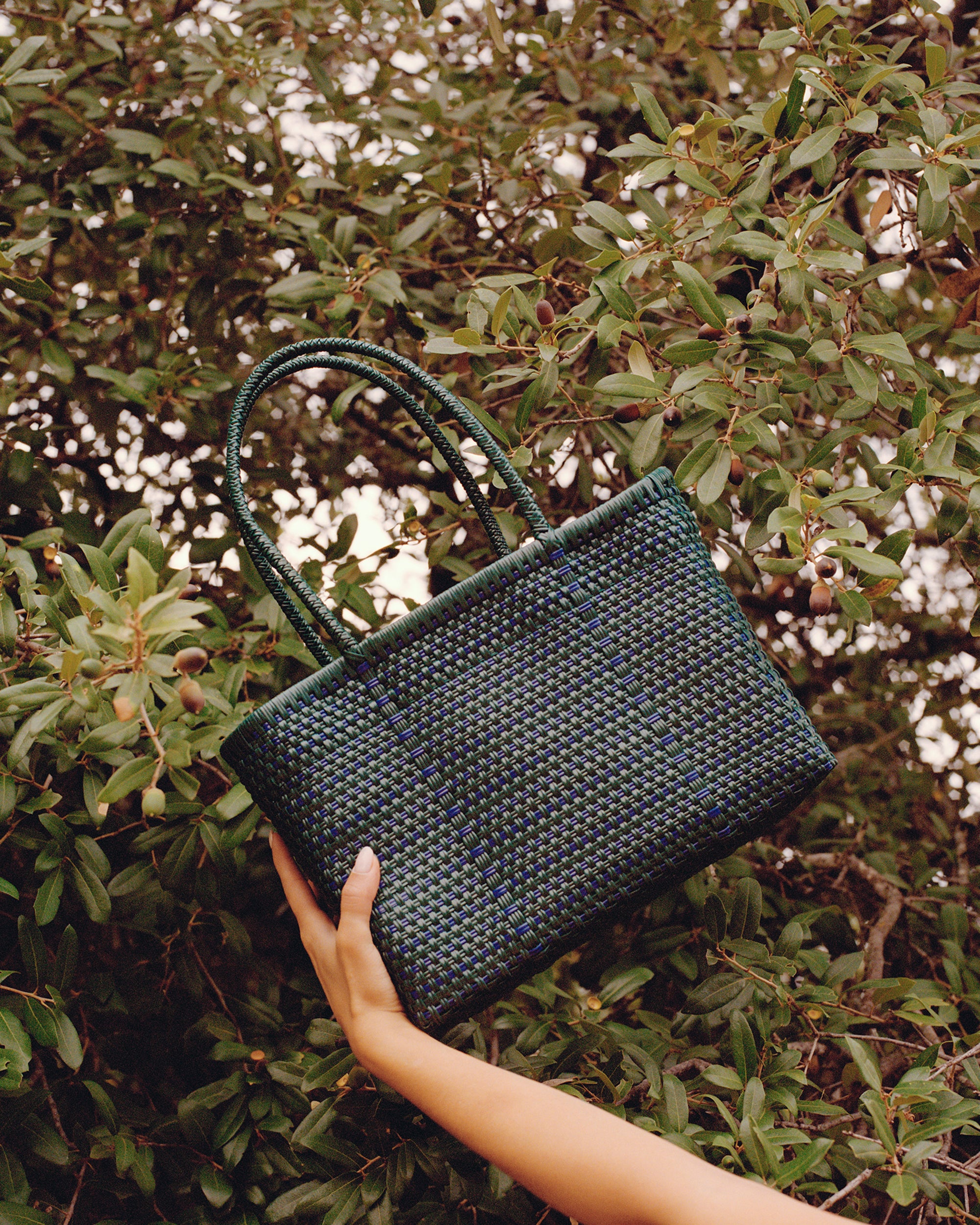 The Paloma Mini